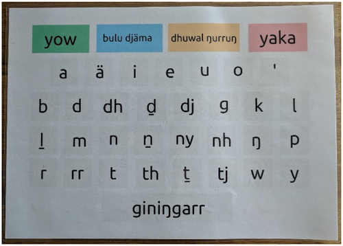 Figure 1. Yolŋu AAC system prototype A. Yolŋu alphabet board with English alphabet on reverse side, same format. Top row presents cells for message editing. Second row presents Yolŋu vowels in “short and long pairs.” Rows 3 to 5 present consonants in alphabetical order. Final row cell “button” to indicate space bar.