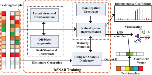 Figure 1. Framework of the proposed DSNAR model.