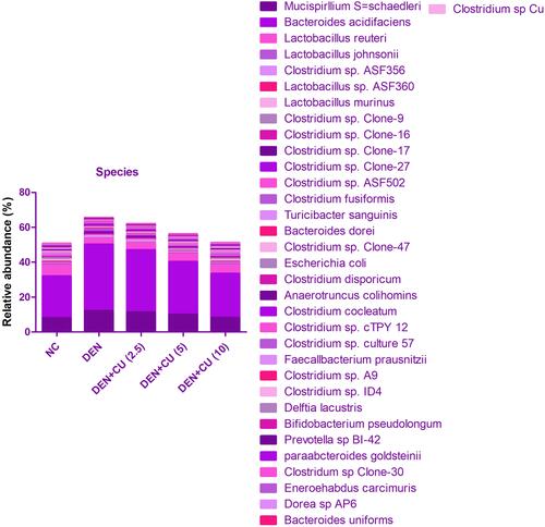 Figure 11 Effect of curcumae on the relative abundance of major bacteria at species level in obesity-induced hepatocellular carcinoma in rats. Tested group rats were compared with the DEN control group rats.