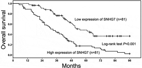 Figure 2. The prognostic value of SNHG7 in gastric cancer patients.