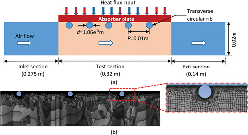 Figure 2. (a) Geometric details of the solar air heater duct with circular ribs on the absorber plate (Gupta et al., Citation1993) and (b) meshing of the computational domain with circular ribs.