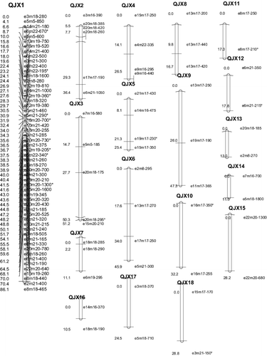 Figure 4. The genetic linkage map of ‘Qiujinxing’.