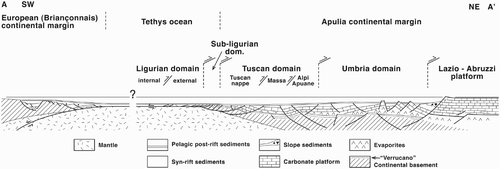 Figure 3. Palinspastic reconstruction of the western continental margin of Apulia, Tethys ocean and adjoining European margin during the late Jurassic (after CitationBernoulli, 2001; CitationHoogerdujin Strating, 1990; CitationMarroni, Molli, Montanini, & Tribuzio, 1998; CitationPeybernès, Durand-Delga, & Cugny, 2001; CitationRossi, Cocherie, Lahondère, & Fanning, 2002, modiﬁed). SW and NE are referred to present day coordinates; this reconstruction is approximately indicated as A-A′ section in Figure 1a.