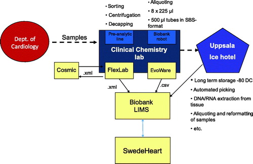 Figure 2. Workflow in the Clinical Chemistry and Pharmacology Laboratory, Academic Hospital. (Cosmic = patient data journal; FlexLab and EvoWare = laboratory data systems; LIMS = laboratory information management system).