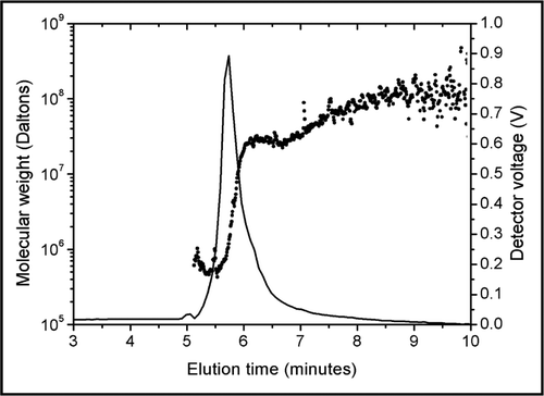 Figure 3 Rinsing of the FFF channel after several injections of trastuzumab in 5% dextrose. Molecular weights (dots, left scale) are superimposed on the UV signal (line, right scale). A thorough rinsing of the channel detached high molecular weight trastuzumab aggregates that were adsorbed on the FFF system.