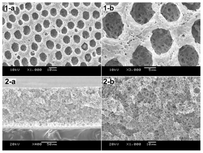 Figure 5 SEM images of PLA scaffolds prepared at 25°C with the concentration of 10% (w/v). Morphology observation of PLA film included the air face and cross-section: 1-a) air face of 10% PLA film, 1000×; 1-b) air surface of 10% PLA film, 3000×; 2-a) cross-section of 10% PLA film, 400×; 2-b) cross-section of 10% PLA film, 1000×.Abbreviations: PLA, poly(d,l lactic acid); SEM, scanning electron microscope.