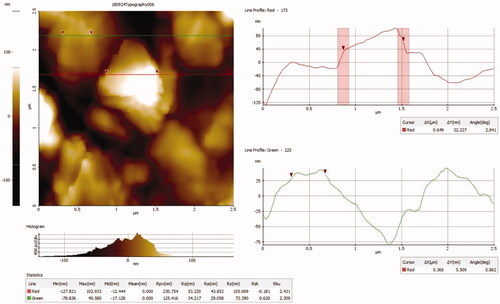 Figure 3. Atomic force microscopy analysis of gold nanoparticles synthesized from Panax notoginseng.