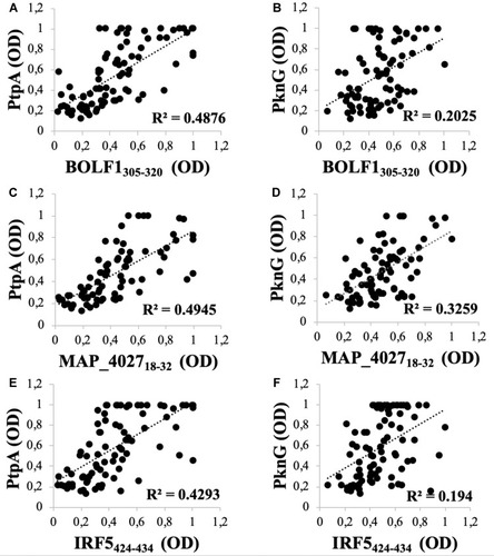 Figure 2 Scatter plot showing correlations between Abs titers recognizing (A) BOLF1305–320 and PtpA, (C) MAP_402718–32 and PtpA, (E) IRF5424–434 and PtpA, (B) BOLF1305–320 and PknG, (D) MAP_402718–32 and PknG, (F) IRF5424–434 and PknG in 84 RA patients and 79 HCs. Person’s correlation was calculated through Graphpad Prism 6.0 software.