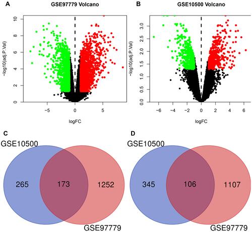 Figure 1 Differentially expressed genes (DEGs) expression Volcano plots and Venn diagram between rheumatoid patients and healthy controls. (A and B) Volcano plots of GSE97779 and GSE10500 Data points in red represent upregulated and in green represent downregulated genes. (C and D) Venn diagram show the Co-expression of the upregulated and downregulated genes of the GSE97779 and GSE10500 databases.