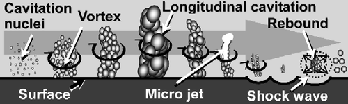 Figure 2 Schematic diagram of the development and collapse of longitudinal cavitation.