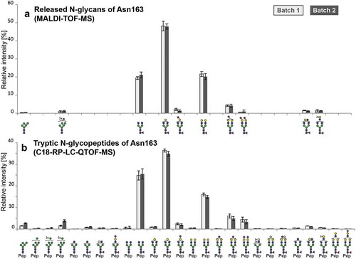 Figure 2. Relative quantitation of N-glycoforms of atacicept. (a) Released N-glycans were analyzed by MALDI-TOF-MS after linkage-specific sialic acid derivatization. Peak intensities were normalized based on the total intensities of all N-glycans in a sample. Sialic acids (purple diamond) pointing to the right indicate α2,3-linkage. (b) Tryptic N-glycopeptides were analyzed by C18-RP-LC-MS, and peak intensities were normalized on the total peak intensity of all N-glycopeptides in a sample. Standard deviations are shown.