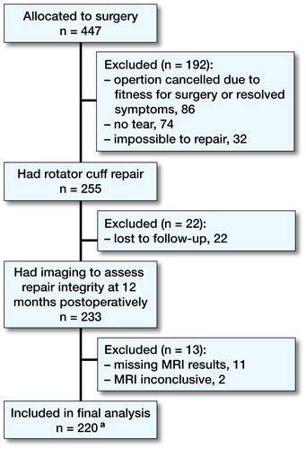 Subjects included in final analysis. a 3 of 220 had missing tear size data.