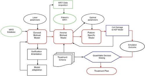 Figure 2. MRTI-driven computational framework: core modules include bioheat transfer inverse bioheat transfer, and patient-specific models. On the left of the flow chart, laser parameters and MRI/MRTI data were input to the bioheat transfer model that will be validated. The middle section of the flow chart illustrates how the optimal laser parameters are obtained based on patient-specific data during the treatment. The right side of the flow chart depicts the decision-making process based on predicted treatment out comes. The framework supports quantifiable decision-making for treatment planning and real-time surgical monitoring and control.