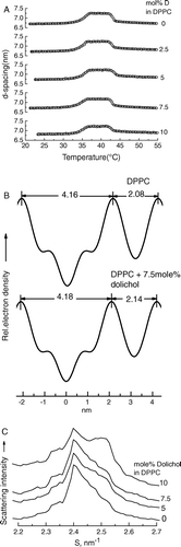 Figure 3.  (A) Bilayer repeat spacing versus temperature during heating scans of mixed aqueous dispersions of dipalmitoylphosphatidylcholine containing different proportions of dolichol C95. The proportion of dolichol C95 (mol%) in the phospholipid is indicated on the respective curves. (B) Relative electron density distribution across the lamellar repeat of dispersions of dipalmitoylphosphatidylcholine without and with 7.5 mol% dolichol C95 at 22°C. (C) Wide-angle X-ray scattering intensity profiles recorded at 22°C from aqueous dispersions of DPPC and DPPC containing indicated proportions of dolichol C95.