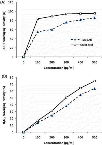 Figure 1. In vitro antioxidant and scavenging effects of MBSAE and gallic acid (GA) against ABTS radical (A) and hydrogen peroxide (B).