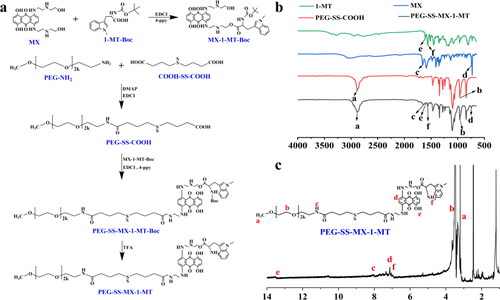 Figure 2. (a) Synthetic route of PEG-SS-MX-1-MT. (b) FT-IR spectra of MX, 1-MT, PEG-SS-COOH and PEG-SS-MX-1-MT. (c) 1H-NMR spectrum of PEG-SS-MX-1-MT.