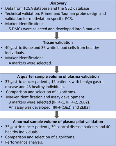 Figure 1. The design and workflow chart for identifying, selecting and validating the methylated cfDNA maker panel for gastric cancer.