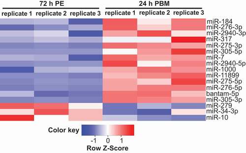 Figure 2. Differential expression of miRNAs in the gut at 72 h PE and 24 h PBM. List of differentially expressed miRNAs acquired with edgeR package (FDR<0.05), based on three independent biological replicates of small RNA libraries. The list was plotted with normalized expression (RPM) in each biological replicate