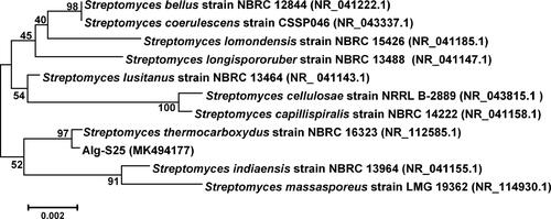 Figure 1. Phylogenetic affiliation of Streptomyces sp. Alg-S25 based on 16S rRNA gene sequences. The numbers at the nodes indicate the bootstrap percentage values of 1000 iterations. GenBank accession numbers are specified in the parentheses. Scale indicates 0.002 substitutions per nucleotide position.