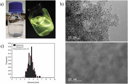 Figure 2. (a) Photographs of the colloidal solution of ZnO NCs capped with 2-ethylhexanoate ligands, under visible (left) and 365 nm UV illumination (right). (b) HRTEM images of the ZnO NCs functionalized with 2-ethylhexanoate ligands. (c) Particle size distribution of the ZnO NCs functionalized with 2-ethylhexanoate ligands.