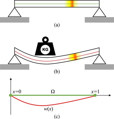 Figure 1. Static response of a simply-supported beam, (a): beam and its neutral axis (b): static deformation due to external force, (c): neutral axis before and after deformation