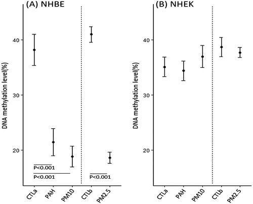 Figure 2. NAA10 methylation in PM-exposed NHBE cells (A) and NHEKs (B). The methylation status was expressed as the percentage of 5-methylcytosine among all (methylated and unmethylated) cytosine residues. Mean methylation levels were compared in PM-exposed and control cells treated with vehicle (CTLa, 1% PBS; CTLb, 0.1% DMSO) using ANOVA.