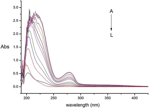 Figure 2. Ultraviolet absorption spectra of litchi pericarp anthocyanins (LPA)-gliadins at different proportions: L, C — LPA concentration of 5 × 10–6 mol/L; K, C — gliadins concentration of 5 × 10–6 mol/L; J-A, LPA/gliadins ratio of 2, 4, 6, 8, 10, 12, 14, 16, 18, 20.