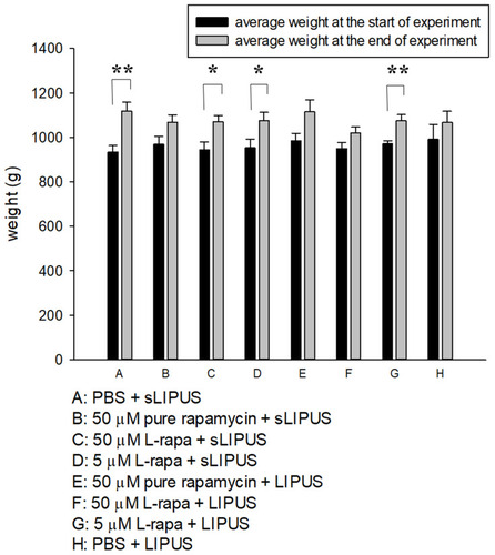 Figure 5 The average weight of guinea pigs in 8 administrative groups measured at the start and end of experiment. The comparisons in the same group at the two different time points were analyzed by Student’s t-test. Eight-group comparisons at identical time point were performed using one-way ANOVA. No significant difference was found among experimental groups at the respective time point. At the end of experiment, significant increases in average weight were found in Groups A, C, D and G compared to the respective start weight (*P<0.05, **P<0.01; by Student’s t-test, Group A: n=5, Groups B~G: n=8, Group H: n=3).