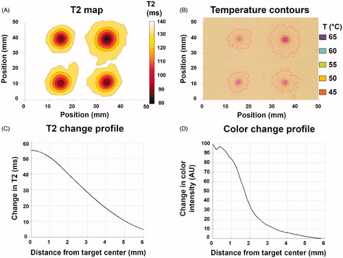 Figure 8. (A&B) Computationally derived T2 and temperature contours based on MRI T2 maps and TMTCP color maps, respectively, following 120 s sonications on the TIPS preclinical HIFU system. (C&D) Representative examples of T2 and color change radial line profiles centered on the target. Profiles correspond to the upper left-hand-corner sonication location in A&B.