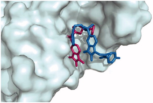 Figure 3. Superimposition of the binding pose for 20d and natural ligand at the 1GFW active site.