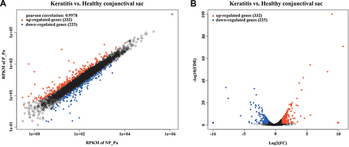 Figure 1 DEGs in the P. aeruginosa isolates from keratitis and healthy conjunctival sacs. Scatter plot (A) and volcano plot (B) of the upregulated and downregulated DEGs were shown. Genes with a corrected p value of less than 0.05 found with DEseq were assigned as differentially expressed.