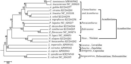 Figure 1. UPGMA tree based on 13 PCGs (numbers are posterior probabilities).