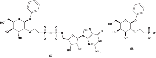 Scheme 30.  Multisubstrates for α-1,2-fucosyltransferase.