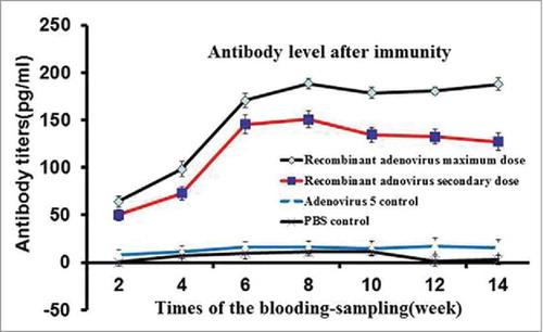 Figure 3. Specific IgG antibody response of mice immunized with recombinant adenovirus by intraperitoneal injection. Recombinant adenovirus maximum dose was 5 × 108 virus particles/100 μl, recombinant adenovirus secondary dose was 5 × 107 virus particles/100 μl, and PBS control dose was 100 μl. The recombinant adenovirus maximum dose exerted the most proliferative effect, antibody titers peaked on week 7.