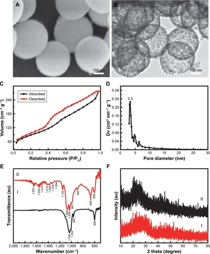 Figure 1 Structural property of Gd-BG scaffold.Notes: (A) SEM image and (B) TEM image of Gd-BGS microspheres; (C) nitrogen adsorption–desorption isotherm, and (D) BJH pore size distribution curve of mesoporous Gd-BGS microspheres. (E) The X-ray diffraction patterns of samples: (I) Gd-BG microspheres and (II) Gd-BG scaffolds. (F) The Fourier transform infrared spectra of samples: (I) Gd-BG microspheres and (II) Gd-BG scaffolds.Abbreviations: BJH, Barrett–Joyner–Halenda; Gd-BG, gadolinium-doped bioglass; SEM, scanning electron microscopy; TEM, transmission electron microscopy.