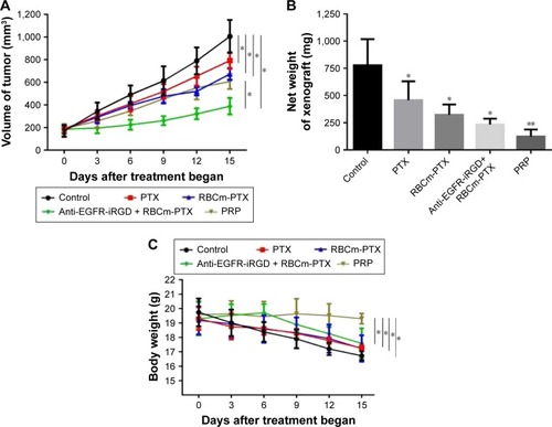 Figure 7 In vivo antitumor activity and safety study.Notes: Mice-bearing MKN45 subcutaneously were used as an animal model. Mice were treated by tail vein injection of PBS, PTX alone, RBCm-PTX, coadministration of anti-EGFR-iRGD and RBCm-PTX, or PRP twice a week for 2 weeks. (A) The tumor growth curves, (B) the net weight of xenografts after harvesting, and (C) the body weight change of the tumor-bearing mice. Data are represented as mean±SEM (n=5). One-way analysis of variance was used for the analysis of tumor volume and body weight. *P<0.05 and **P<0.001. (D) Main organs were dissected for H&E staining on the 15th day after treatment. Main organs, including heart, liver, spleen, lung, and kidney. Inflammatory cells’ infiltration could be seen in some cases, while none significant abnormal damage was observed. Scale bar=100 μm. PRP, PTX-loaded RBCm-derived microvesicles functionalized with anti-EGFR-iRGD.Abbreviations: PTX, paclitaxel; RBC, red blood cell; RBCm, RBC membrane; SEM, standard error of the mean.