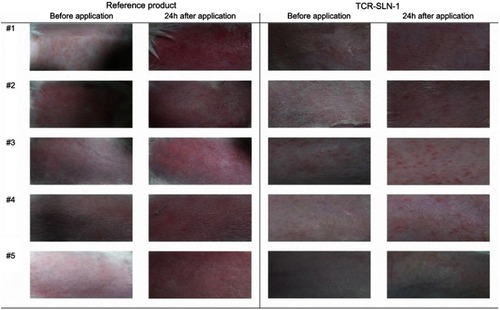Figure S1 Images of skin samples from each group (24h after drug application)