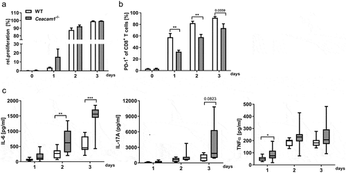 Figure 6. CD8+ T cells from Ceacam1−/− mice show an enhanced activity in vitro. CD8+ T cells were isolated from the spleen of naïve Ceacam1−/− or WT mice, CFSE-labeled and stimulated with anti-CD3 antibody. (a) Proliferation of CD8+ T cells was determined at indicated time points by flow cytometry and the loss of CFSE dye (n = 4). (b) Percentages of PD1+ CD8+ T cells were measured at indicated time points. (c) Concentration of IL-6, IL-17A and TNFα in the cell culture supernatants was analyzed at indicated time points using Luminex technology (n = 9–10). All data are presented as mean ± SEM. Statistics were performed using the Student’s t-test for individual time points (*,p< .05; **,p< .01; ***,p< .001).