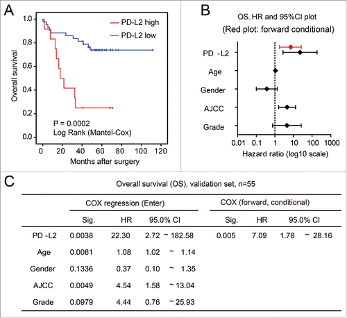 Figure 3. Validation of the association between worse overall survival and PD-L2 overexpression in tumor cells. (A) Kaplan–Meier (log rank) analysis showing the survival curves of patients stratified by PD-L2 expression (p value shown). (B) and (C) The multivariate COX regression model for the overall survival of CRC patients. The hazard ratios and 95% confidence interval (CI) of different factors in the COX regression model are shown in (B), with results of forward stepwise model marked in red. The detailed parameters in the model are shown in (C).
