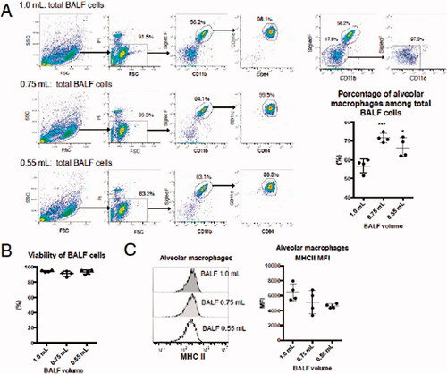 Figure 3. Characterization of mAM collected using the differing buffer volumes. (A) Cell surface antigen expression on cells analyzed by FACS. Percentage of mAM among total cells is shown as a representative dot-plot. (B) Viability assessed by LDH assay. (C) HMC Class II expression analyzed by FACS. In graphs, each dot indicates result for an individual animal; mean of three independent experiments is indicated by horizontal line. Data shown are means (± SEM) of four independent experiments. Significance of differences between 1.0 ml and other groups assessed by one-way ANOVA and Dunnett’s multiple-comparison test. ***p < 0.001 and *p < 0.05 versus the 1.0 ml group.