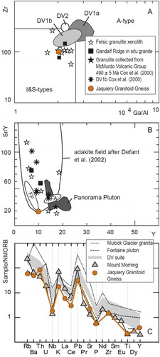 Figure 3. Whole rock trace-element chemistry of Jaquiery granitoid gneiss New Zealand (Fig. 1) relative to select, equivalent Ross Orogen plutonic rocks and xenoliths in Antarctica. The Antarctic comparisons are granulite crustal xenoliths in Cenozoic volcanic rocks in southern Victoria Land (Cox et al. Citation2000; Martin et al. Citation2015), the Dry Valleys suites of granites (Cox et al. Citation2000); granite outcrops at Gandalf Ridge, Mount Morning (Martin et al. Citation2015); Fontaine Pluton (FP) rocks (Cottle and Cooper Citation2006a); Fontaine Adakite (FA) rocks (Cottle Citation2002); Panorama Pluton rocks (Mellish et al. Citation2002) and; A-Type Mulock Glacier Granite (Cottle and Cooper Citation2006b). A, 104Ga/Al versus Zr ppm plot after Whalen et al. (Citation1987) B, Y ppm versus Sr/Y plot with adakite fields from Defant et al. (Citation2002). C, Normal mid-ocean ridge basalt, normalised (Sun and McDonough Citation1989) extended element plot.