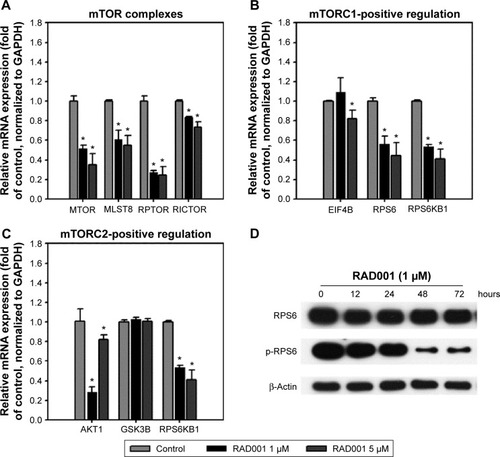 Figure 2 Inhibition of mTOR-related genes and mTORC1 downstream effectors by RAD001.