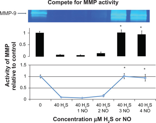 Figure 3 H2S competes to activate/deactivate MMP activity.