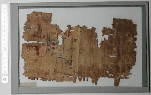 Figure 2. Verso of the fragment showing plaster and pigments.