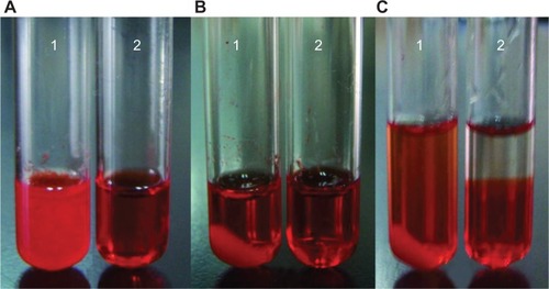Figure 2 Photographs of mixtures of DOX with (1) (NH4)2SO4 and (2) NH4EDTA at 25°C and pH 4 (A) before centrifugation, (B) after centrifugation, and (C) diluted with isochoric distilled water.Abbreviations: DOX, doxorubicin; EDTA, ethylenediaminetetraacetic acid.