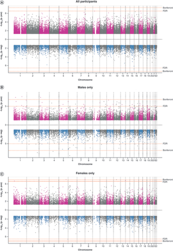 Figure 1. In a Miami plot, each dot represents -log10(P) of a single CpG. Each plot has two panels: upper for association results with positive regression coefficients and lower for association results with negative regression coefficients, with -log10 (p) on the Y axis and 22 chromosomes on the X axis. Horizontal lines depict p cutoffs for statistical significance after multiple-testing correction: Bonferroni and Benjamini–Hochberg false discovery rate. CpGs having uncorrected p > 0.05 were not displayed. (A) Epigenome-wide association study (EWAS) meta-analysis results in all participants. (B) EWAS meta-analysis results in males only. (C) EWAS meta-analysis results in females only.