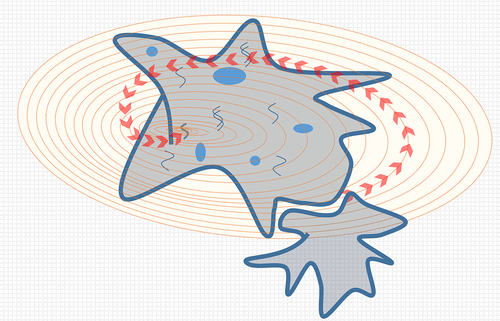 Figure 4d. Signal trigger for emergence of asexual reproduction.