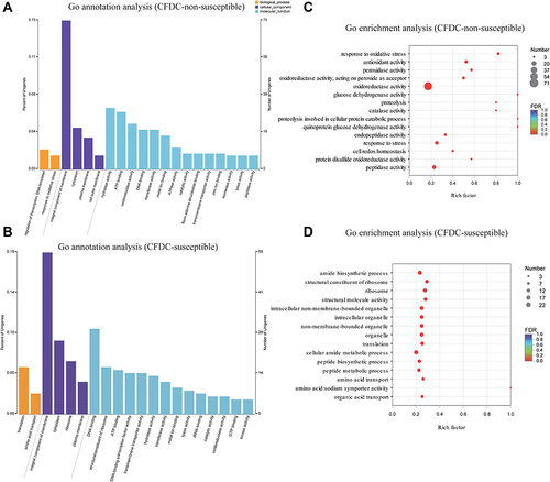 Figure 3 Gene Ontology (GO) analysis of all differentially expressed genes (DEGs). (A and B) GO annotation (A) and enrichment (B) analysis of DEGs upregulated in cefiderocol-non-susceptible isolates. (C and D) GO annotation (C) and enrichment (D) analysis of DEGs downregulated in cefiderocol-non-susceptible isolates.