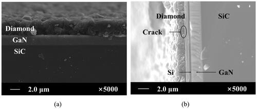Figure 4. Cross-sectional SEM images of diamond deposited by a double-substrate structure cavity with (a) 20 nm Si buffer layer, 550 °C and (b) 200 nm Si buffer layer, 550 °C.