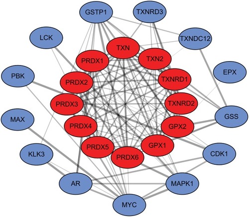 Figure 10 The core modules of genes associated with the PRDXs.